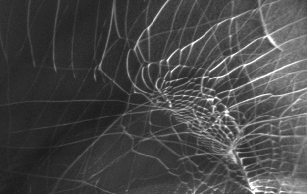 Crystalline defects — dislocation cells